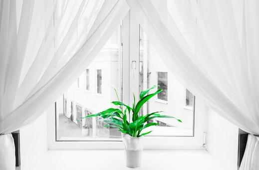 voile curtains